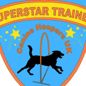 Super Trainer
