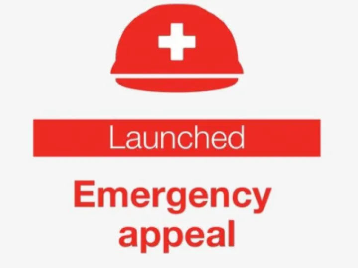 redcross1