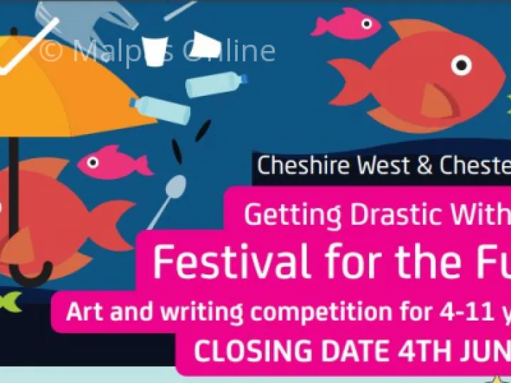 festival for the future