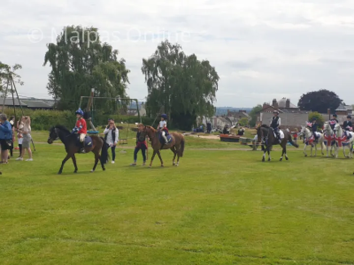 Horses on Rec