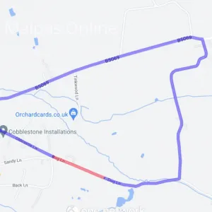 Dog Lane July 2022
