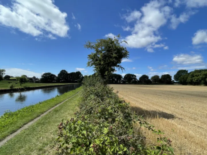 Canal and fields