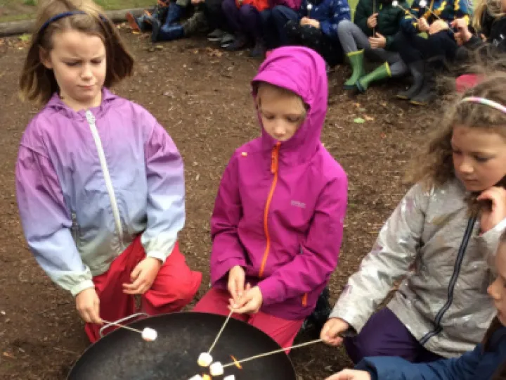 Marshmallows