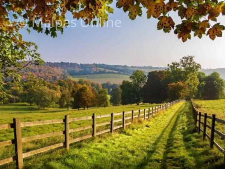 Footpath scene