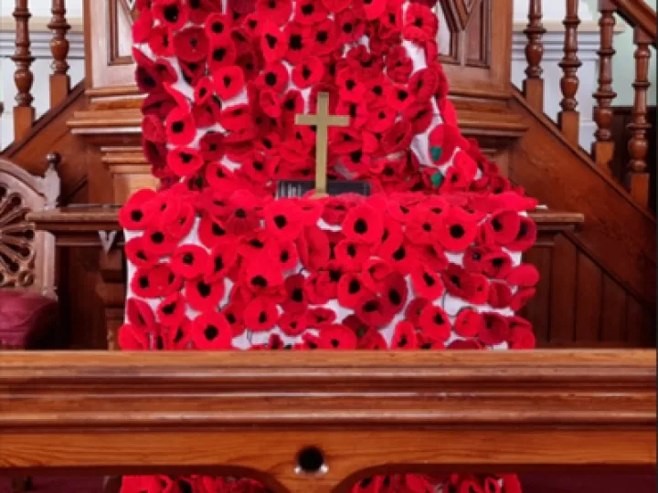 Poppies