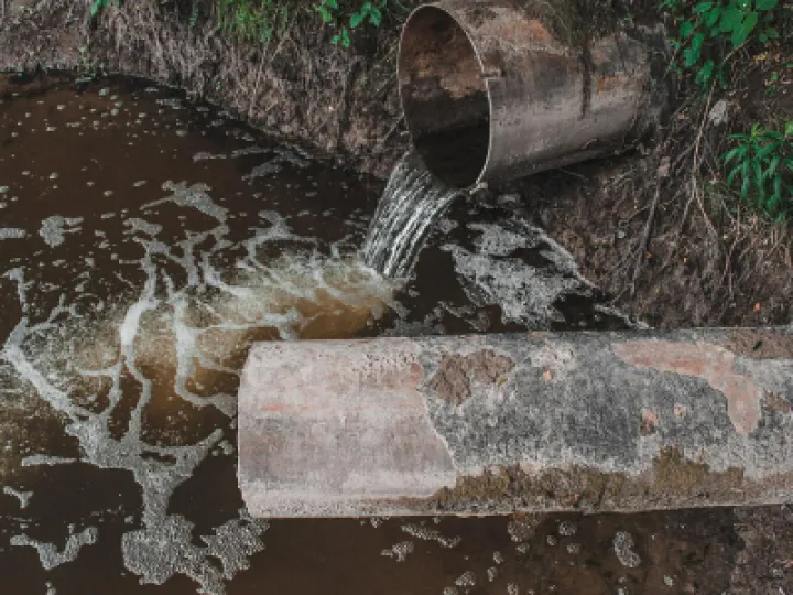 sewage1