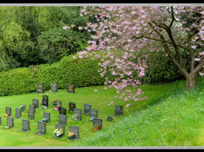 Pj 20230429 121430 0031