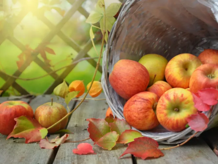 apples-g632f45aaf_1280