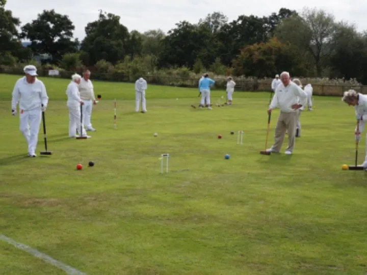 Social croquet