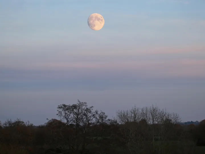 Winter Moon