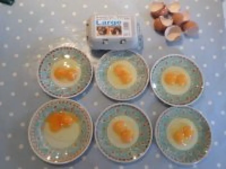 Double Yolk Bradmoor Eggs
