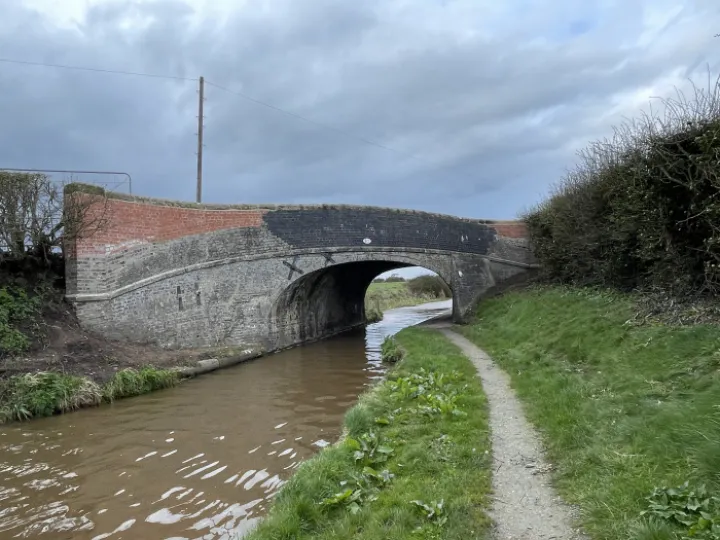 bridge