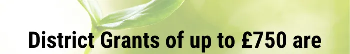 New Beginnings grants