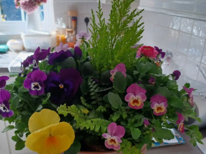 Flowers for housebound friend