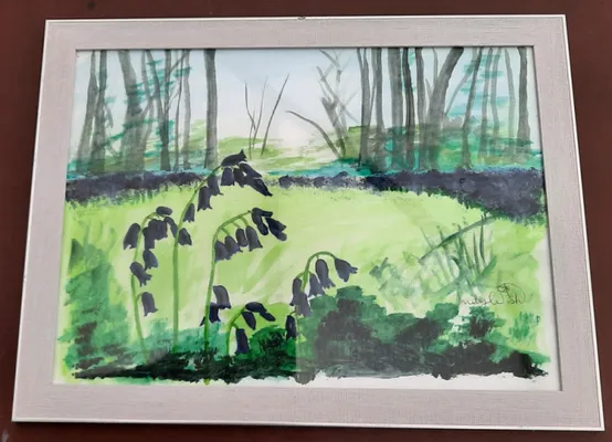 Bluebells