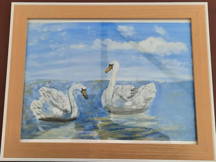 Mr & Mrs Swan