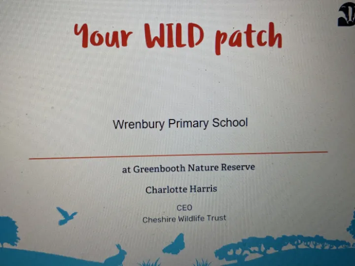 Our Wild Patch