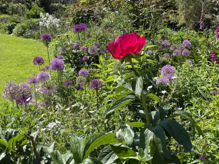 Garden may24