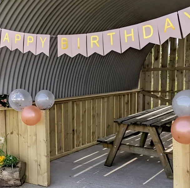 Alpaca Birthday Party 2