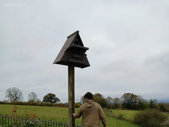 Beeches Box