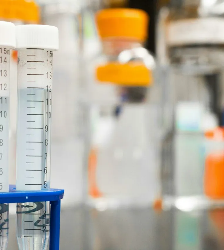 Two clear test tubes in a laboratory, essential for scientific research.
