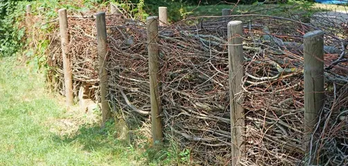 Dead Hedge