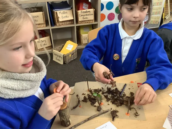 Y3 biomes