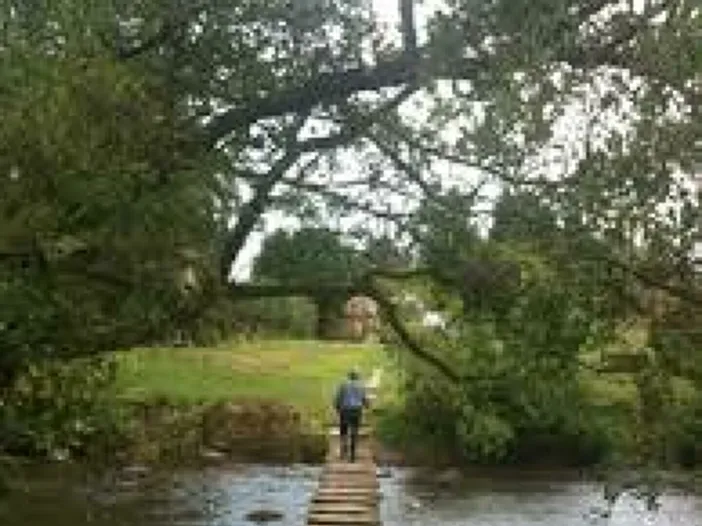 steppingstones
