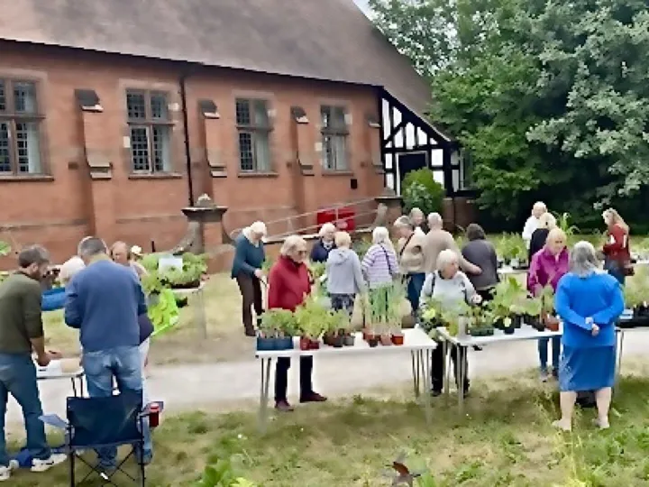 Plant sale