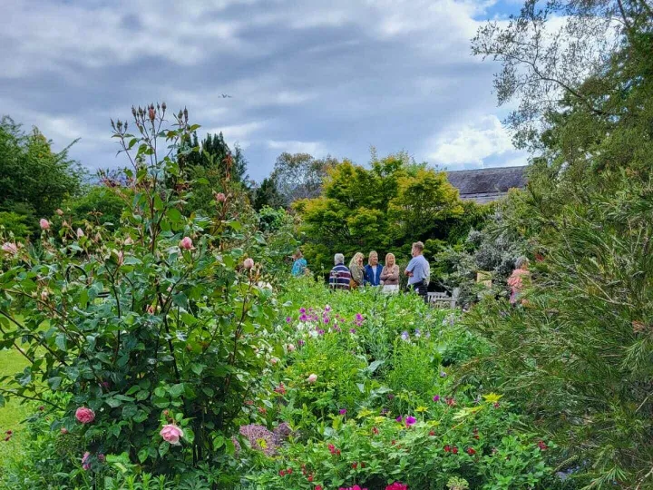 Open garden