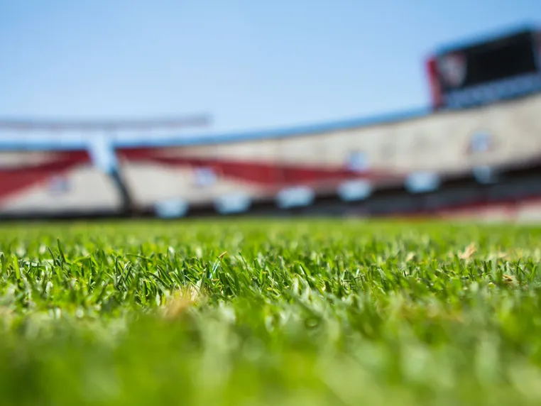 Close-up of grass with a blurred stadium background under a clear sky.