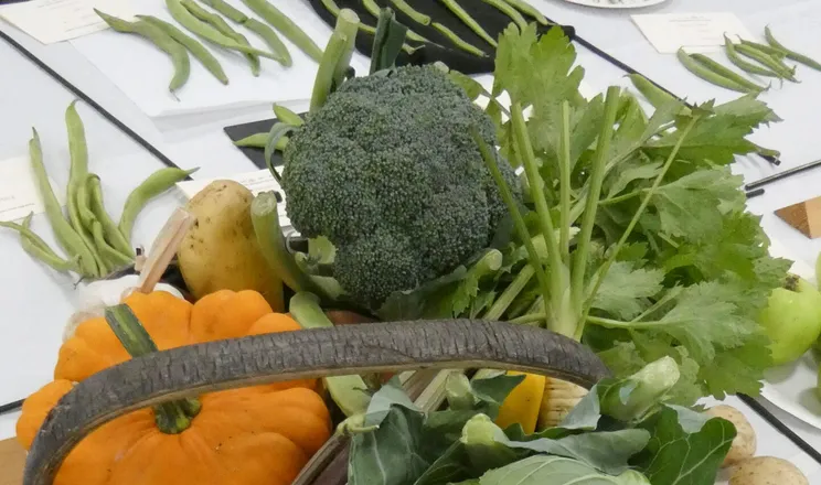 HHS Show Veg 2025_01