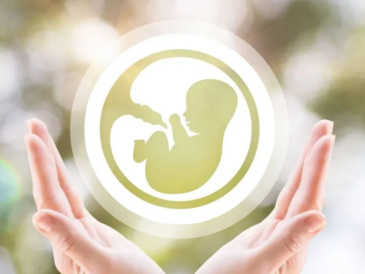 Fertility