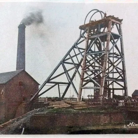 The Minnie Pit 2025