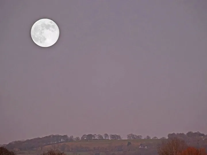 # Wolf Moon F8961