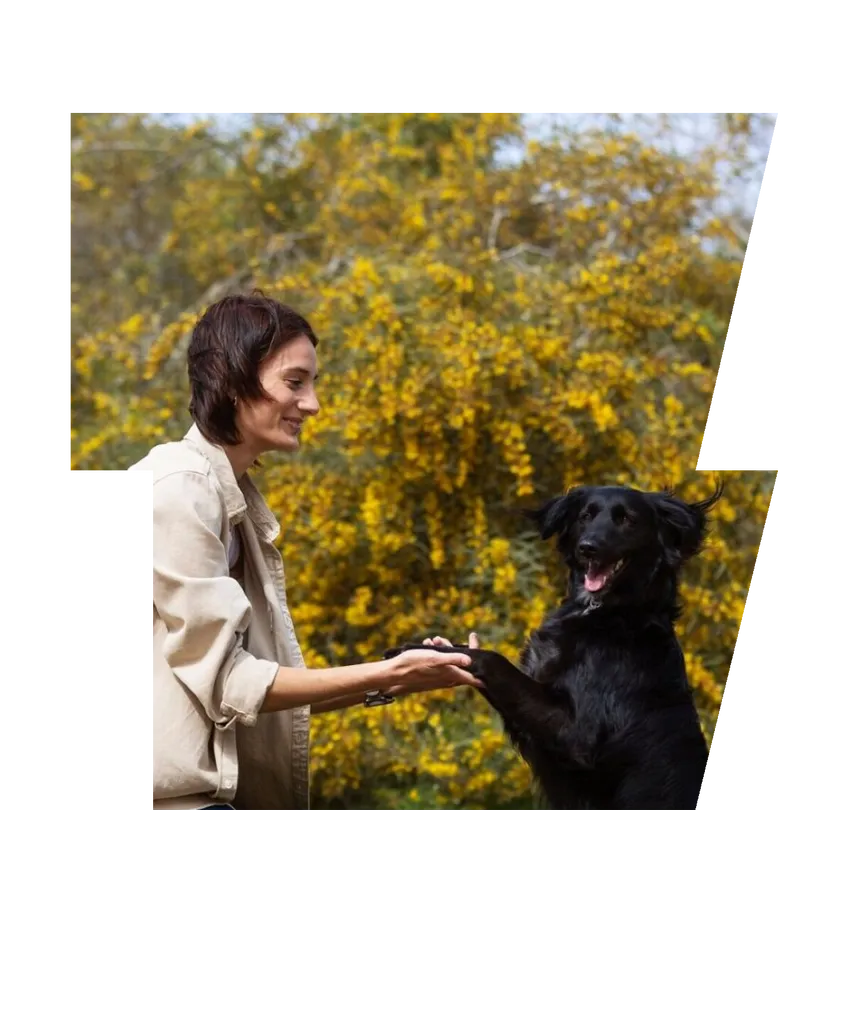 Dog trainer interacting with their pet