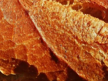 Baguette, loaf, baked goods, food, meal, yummy, fresh, white bread, baked, bakery, baguette, baguette, bakery, bakery, bakery, bakery, bakery