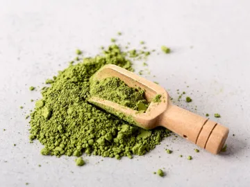 High angle of condiment powder concept
