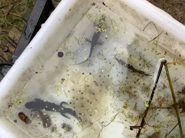 20260326_164006076_ios