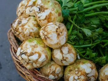 Close-up of fresh celeriac roots with leaves in a