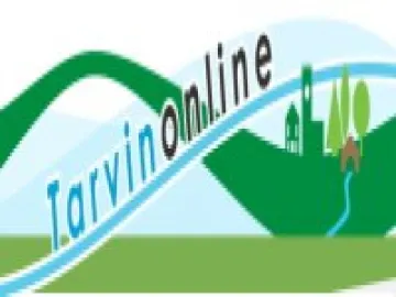 Tarvinonline logo