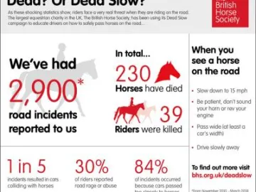 British Horse Society 1