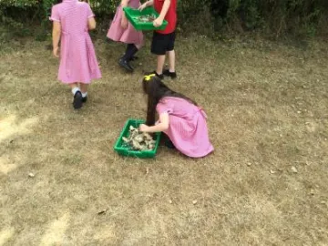 3D159929-94CE-4D6A-ADEC-21F85F0B4BD0