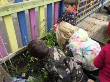 D3E15306-3745-4A6B-AC94-1D1BE41C6299