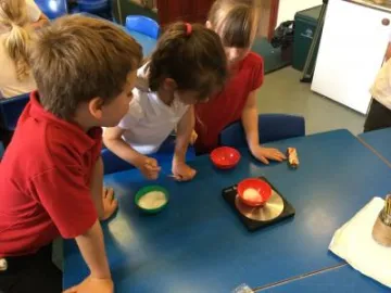 Image: 34E52061-03B9-491A-A10C-3D4C6A7C1469