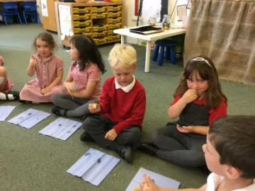 Image: 926B3C4C-897A-4087-A6FB-A6E5FBE63BA4