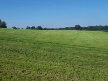 Image: 20190919 140210