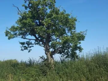 Image: 20190919 140635