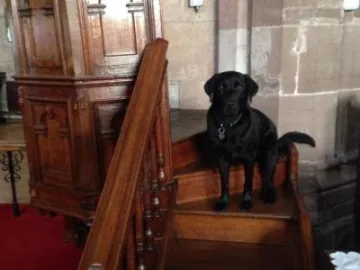 BE904D3C-5957-4AA8-928B-FD82C660453B