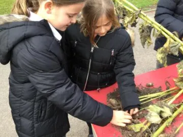 FE37D631-BB81-495B-A666-7C69BC127A2D